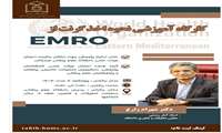 برگزاری کارگاه آموزشی نحوه اخذ گرنت از EMRO